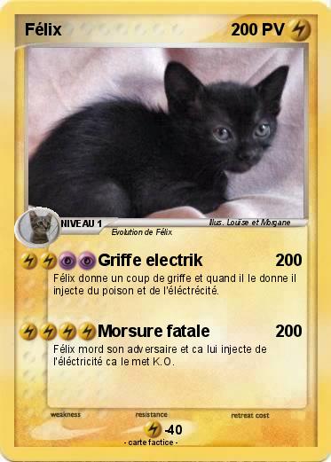 Pokemon Félix