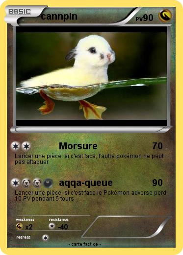 Pokemon cannpin