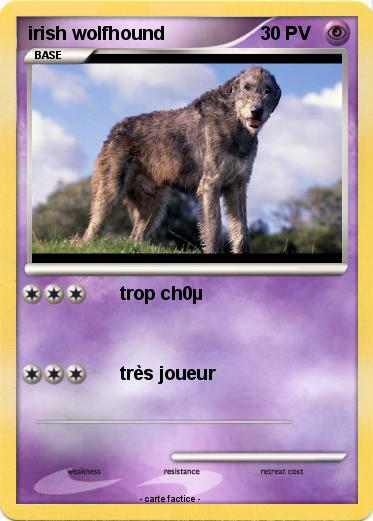 Pokemon irish wolfhound