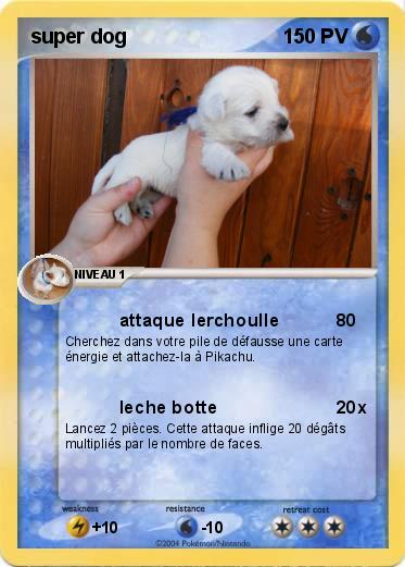 Pokemon super dog