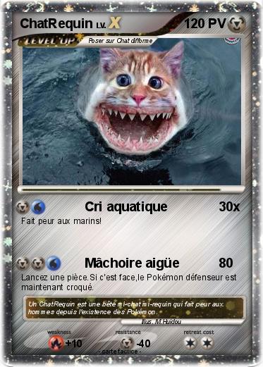 Pokemon ChatRequin