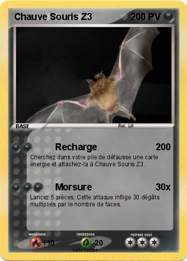Pokemon Chauve Souris Z3