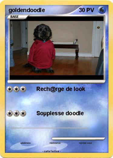 Pokemon goldendoodle