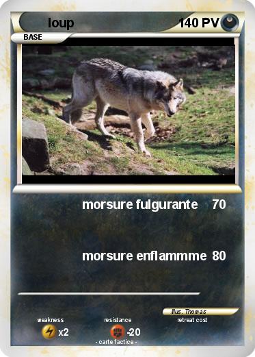 Pokemon loup