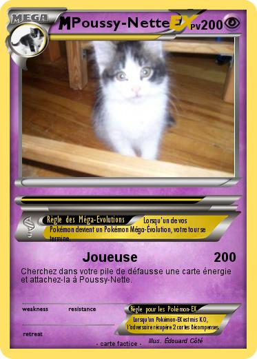 Pokemon Poussy-Nette