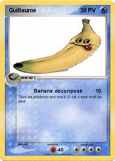 Pokemon Guillaume