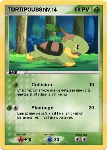 Pokemon TORTIPOUSSniv.14