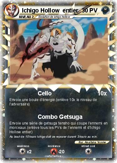 Pokemon Ichigo Hollow  entier