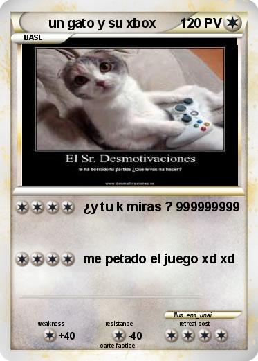Pokemon un gato y su xbox