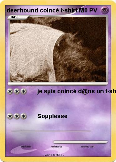 Pokemon deerhound coincé t-shirt M