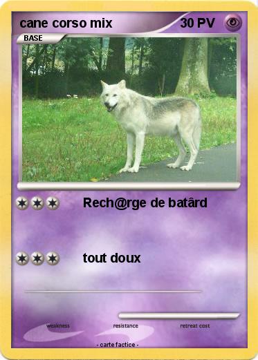 Pokemon cane corso mix