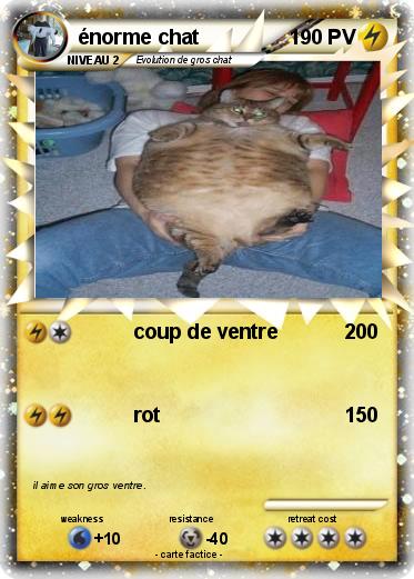Pokemon énorme chat