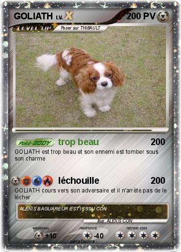 Pokemon GOLIATH