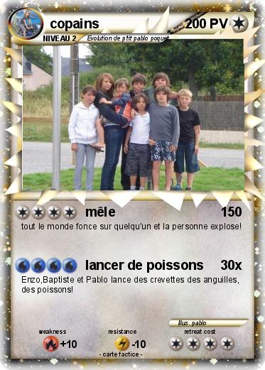 Pokemon copains
