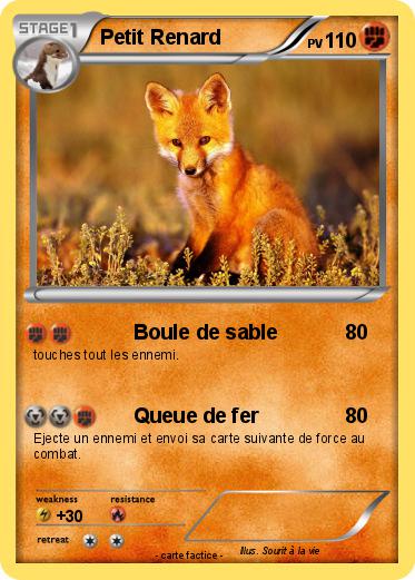 Pokemon Petit Renard