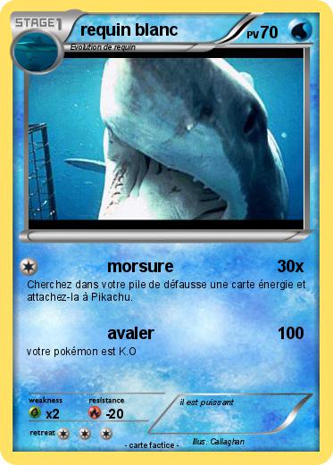 Pokemon requin blanc