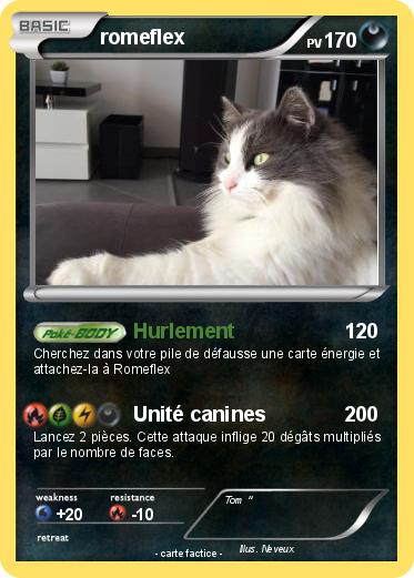 Pokemon romeflex