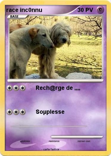 Pokemon race inc0nnu