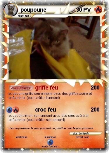 Pokemon poupoune