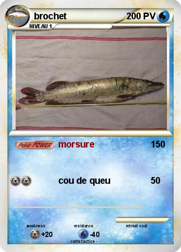 Pokemon brochet