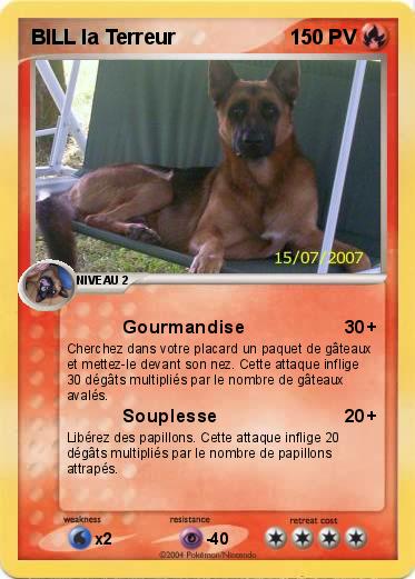 Pokemon BILL la Terreur