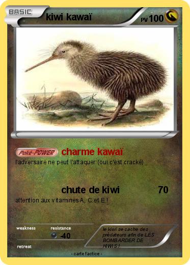 Pokemon kiwi kawaï