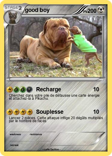 Pokemon good boy