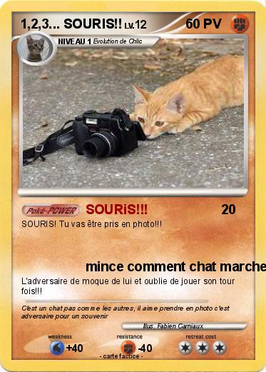 Pokemon 1,2,3... SOURIS!!
