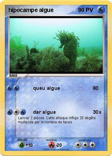 Pokemon hipocampe algue