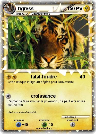 Pokemon tigress