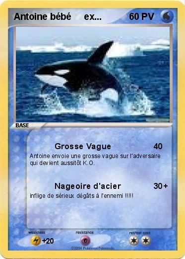 Pokemon Antoine bébé     ex...
