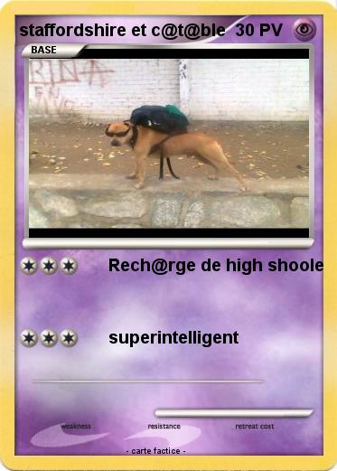 Pokemon staffordshire et c@t@ble