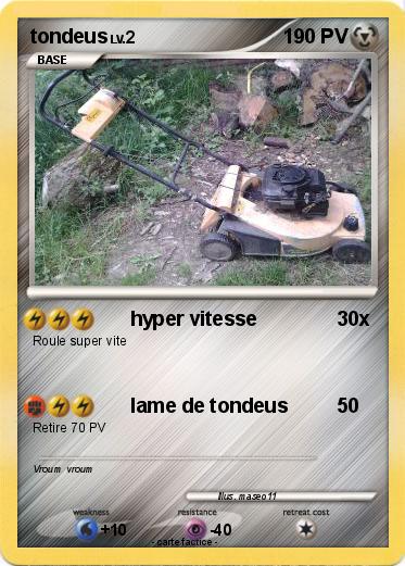 Pokemon tondeus
