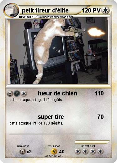 Pokemon petit tireur d'élite