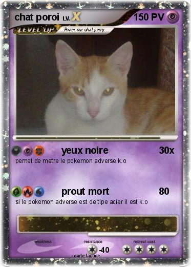 Pokemon chat poroi