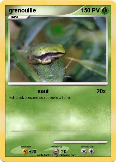 Pokemon grenouille