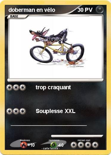 Pokemon doberman en vélo