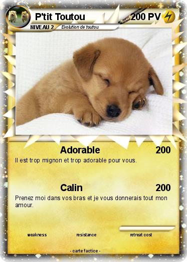 Pokemon P'tit Toutou