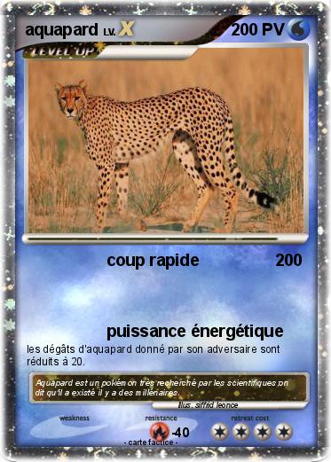 Pokemon aquapard