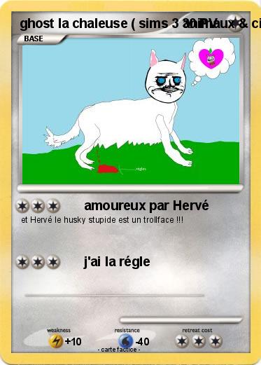 Pokemon ghost la chaleuse ( sims 3 animaux & cie 3DS )