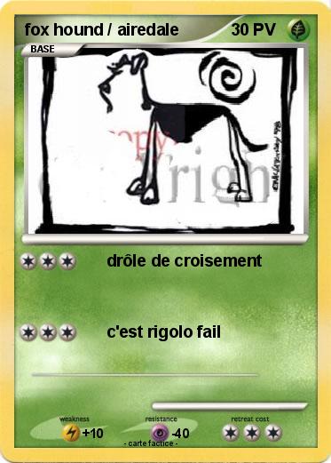 Pokemon fox hound / airedale