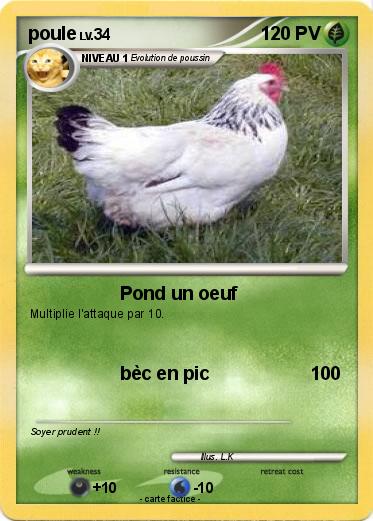 Pokemon poule