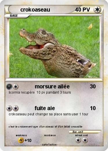 Pokemon crokoaseau