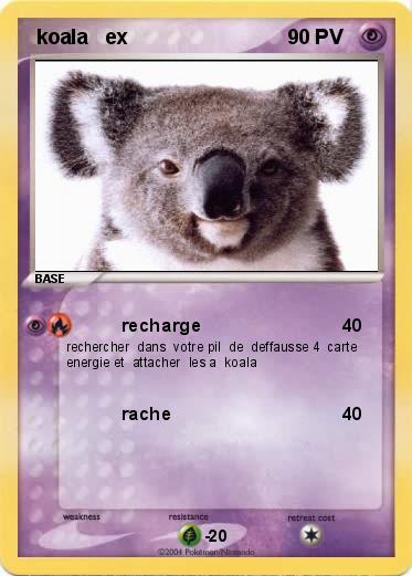 Pokemon  koala   ex 