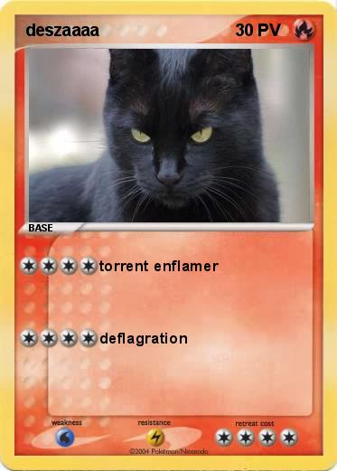 Pokemon deszaaaa