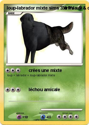 Pokemon loup-labrador mixte sims 3 animaux & cie