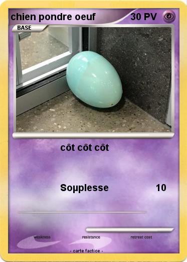 Pokemon chien pondre oeuf