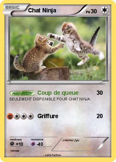 Pokemon Chat Ninja