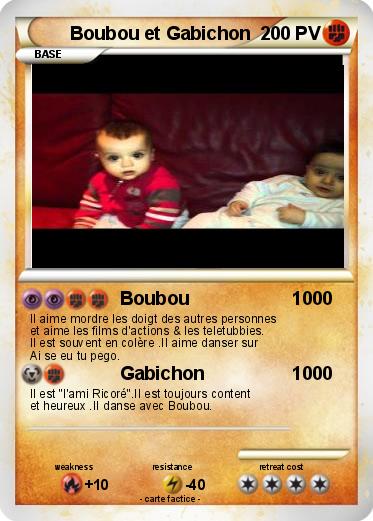 Pokemon Boubou et Gabichon