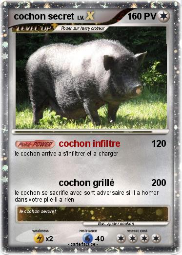 Pokemon cochon secret